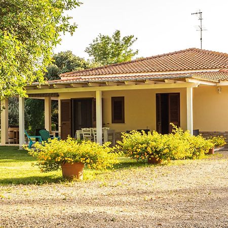 The Vineyards Bed & Breakfast Alghero Luaran gambar