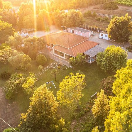 The Vineyards Bed & Breakfast Alghero Luaran gambar