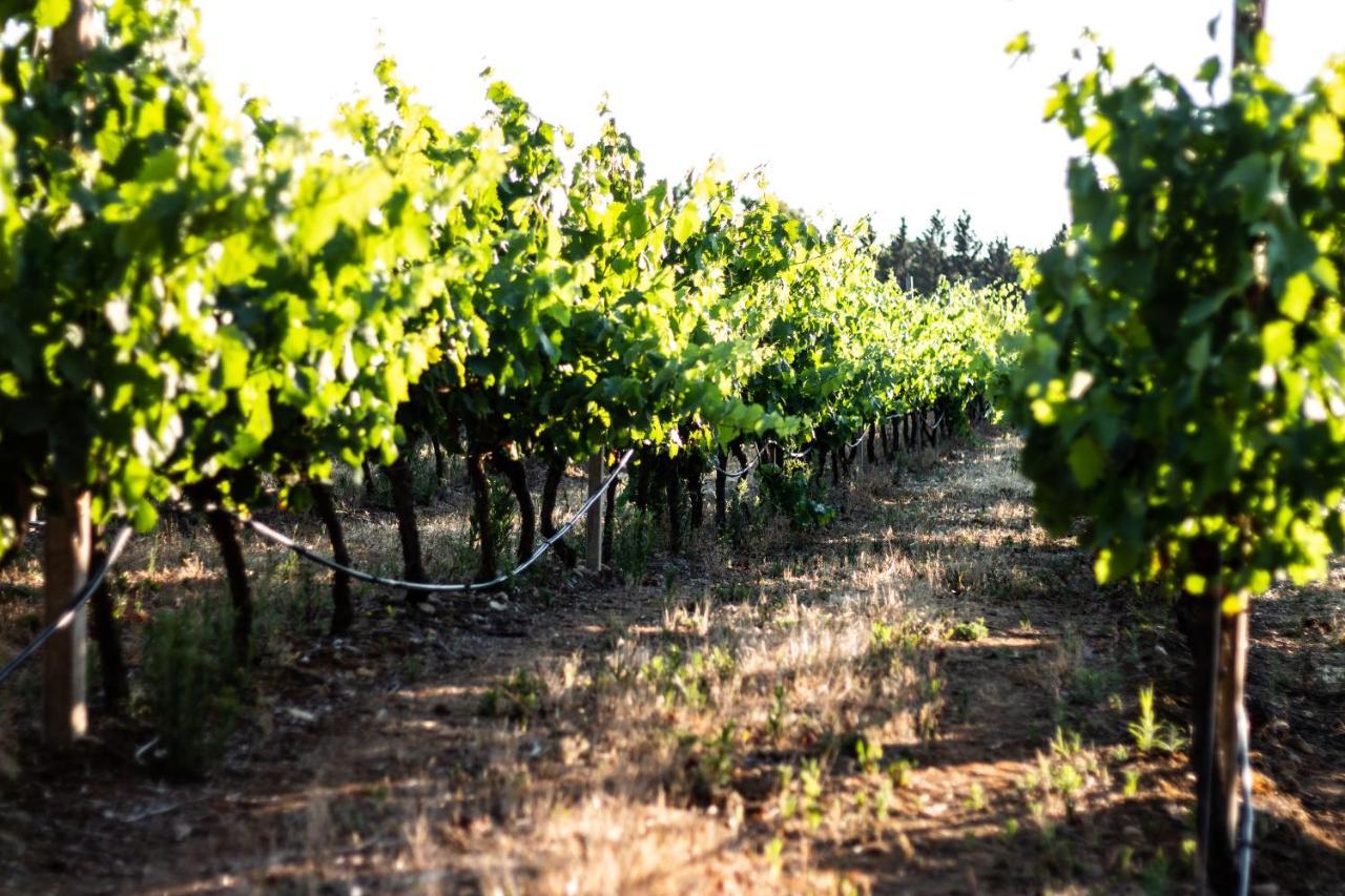 The Vineyards Bed & Breakfast Alghero Luaran gambar